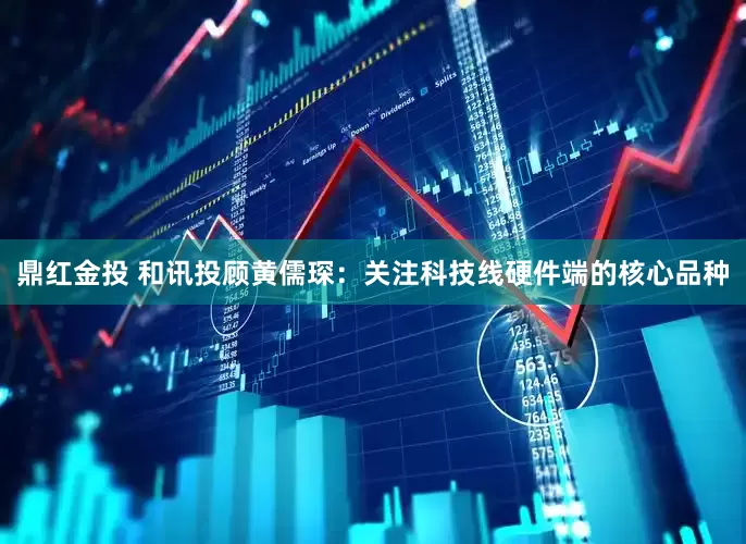 鼎红金投 和讯投顾黄儒琛：关注科技线硬件端的核心品种