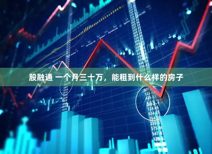 股融通 一个月三十万，能租到什么样的房子