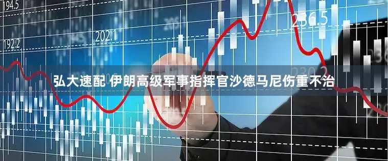 弘大速配 伊朗高级军事指挥官沙德马尼伤重不治
