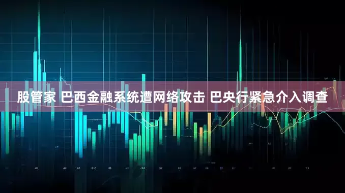 股管家 巴西金融系统遭网络攻击 巴央行紧急介入调查