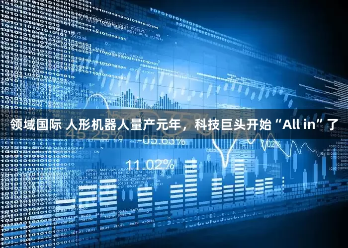 领域国际 人形机器人量产元年，科技巨头开始“All in”了