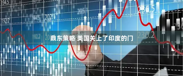 鼎东策略 美国关上了印度的门