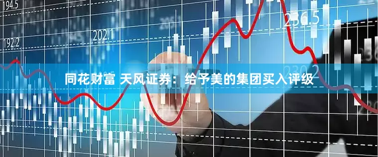 同花财富 天风证券：给予美的集团买入评级