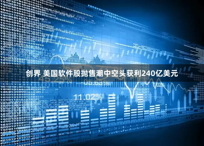 创界 美国软件股抛售潮中空头获利240亿美元
