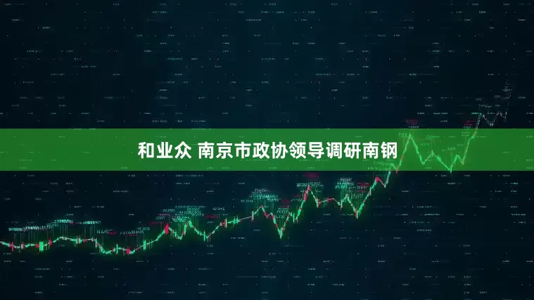 和业众 南京市政协领导调研南钢