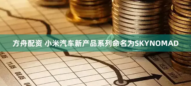 方舟配资 小米汽车新产品系列命名为SKYNOMAD